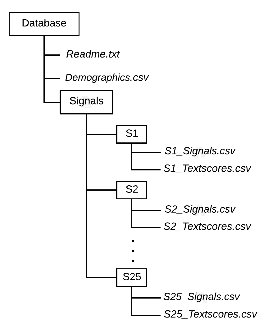 Dataset structure